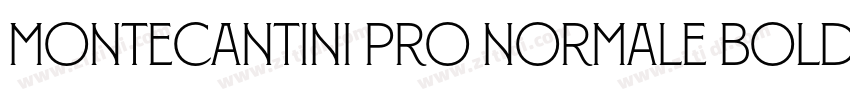 Montecantini Pro Normale Bold字体转换